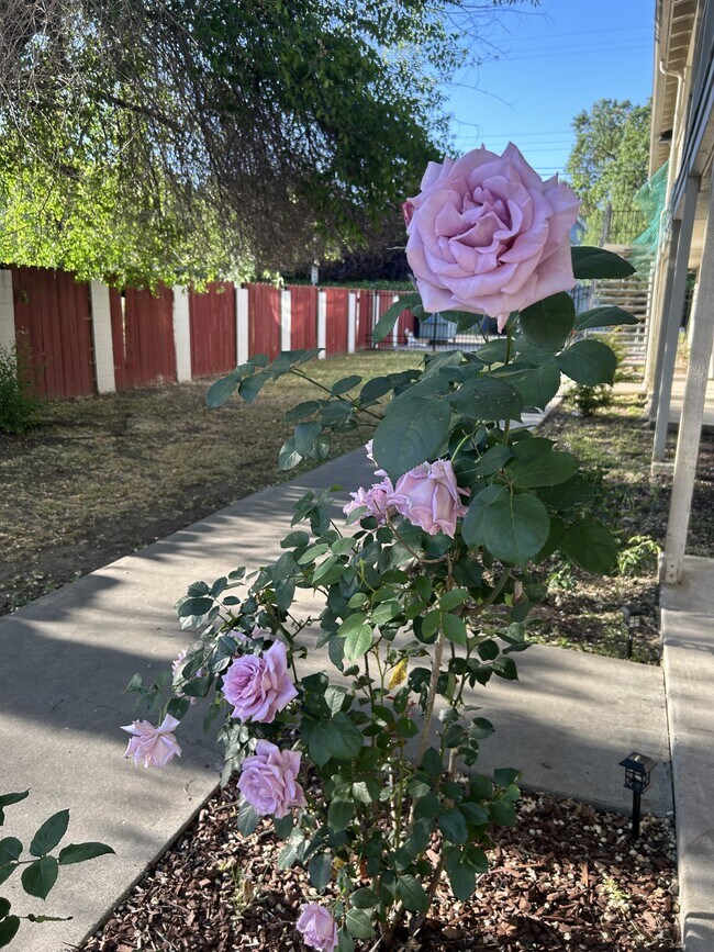 Photo - 120 E Fairmont Ave