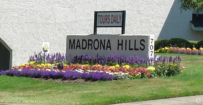 Photo - Solista Salem