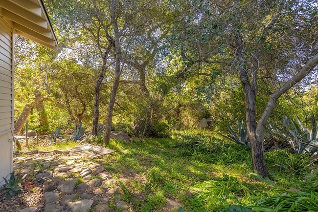 Photo - Hidden hideaway