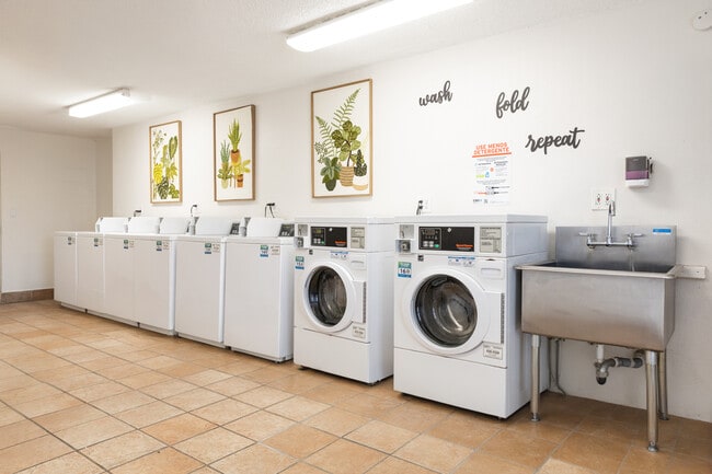 Photo - Centurion Pearl