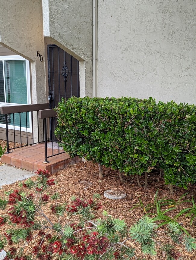 Front Door - 7813 Tommy Dr