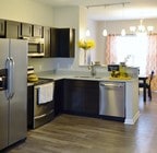 Stainless Appliances
