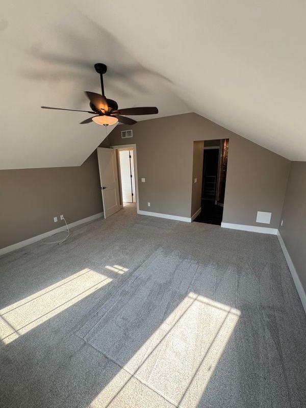 Photo - 259 Elizabeth St