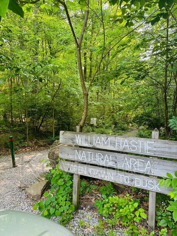 Photo - 516 Post Oak Ln