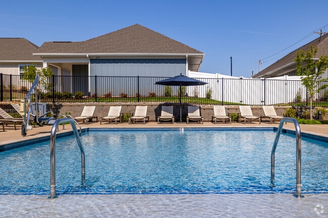 Resort-Inspired Swimming Pool