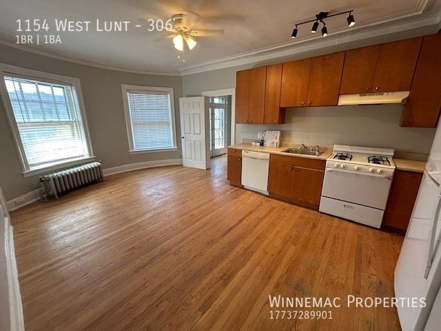 Photo - 1154 West Lunt-306 Unidad 306