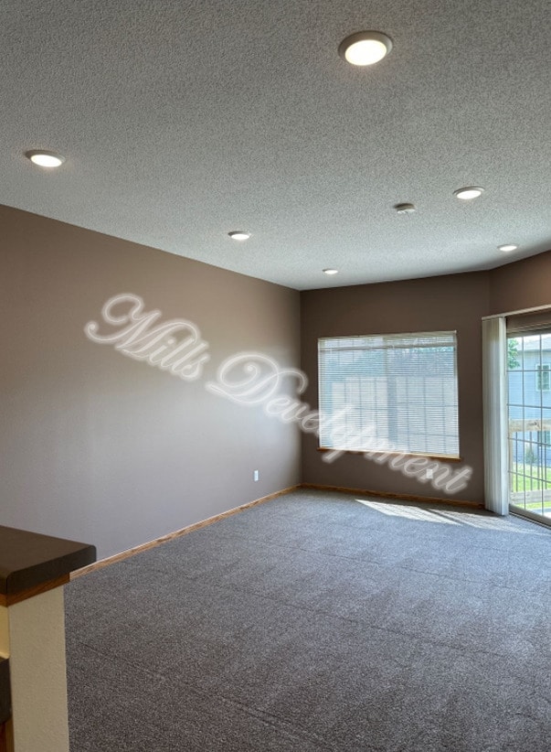 Carpet Living Room