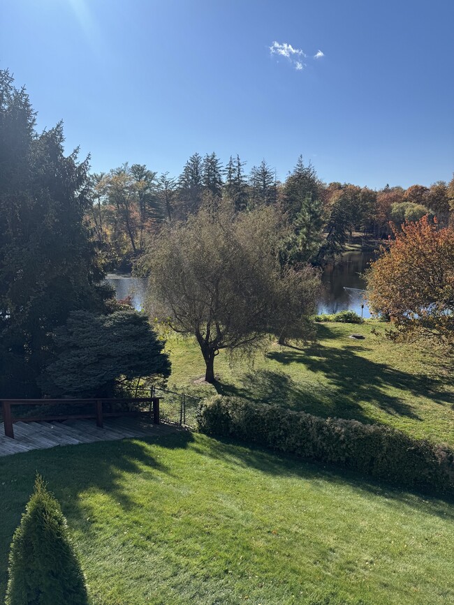 Photo - 193 Park St Unit 2