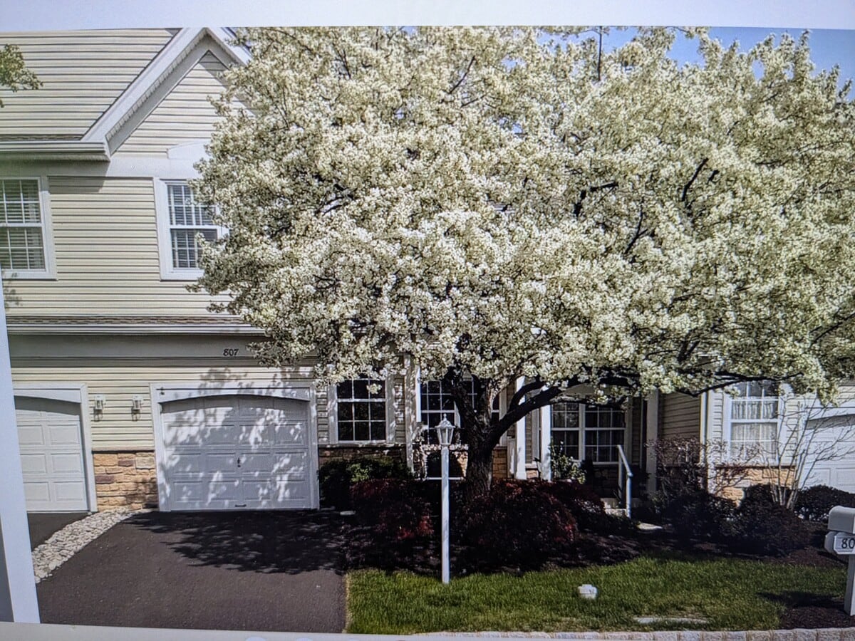 Photo - 807 Breckinridge Ct