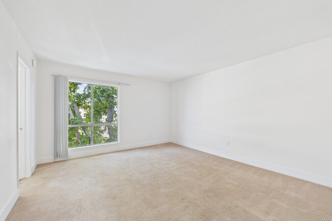 Photo - Willis Park East