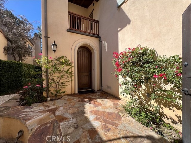 Photo - 27 Tree Clover