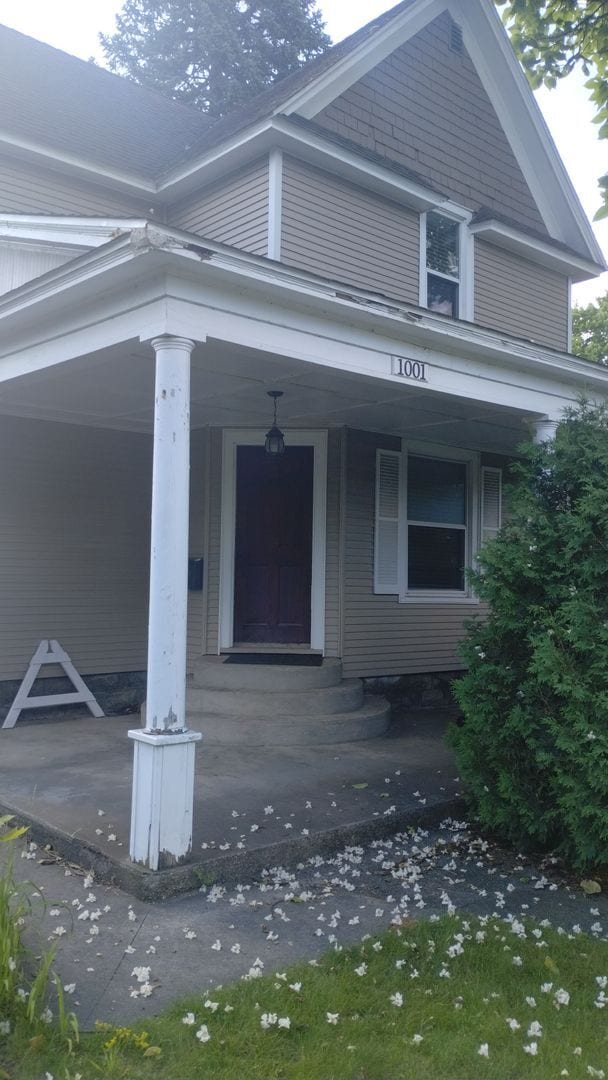 Urban Vibes & Vintage Charm on Cass Street - Urban Vibes & Vintage Charm on Cass Street House