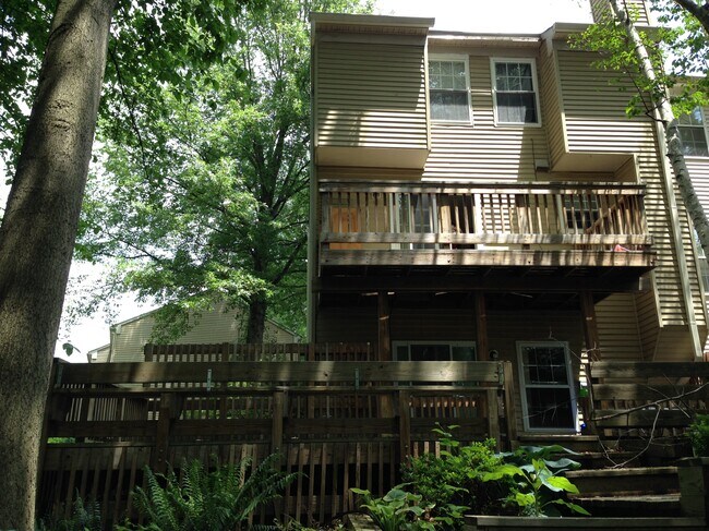 Photo - 13814 Grey Colt Dr