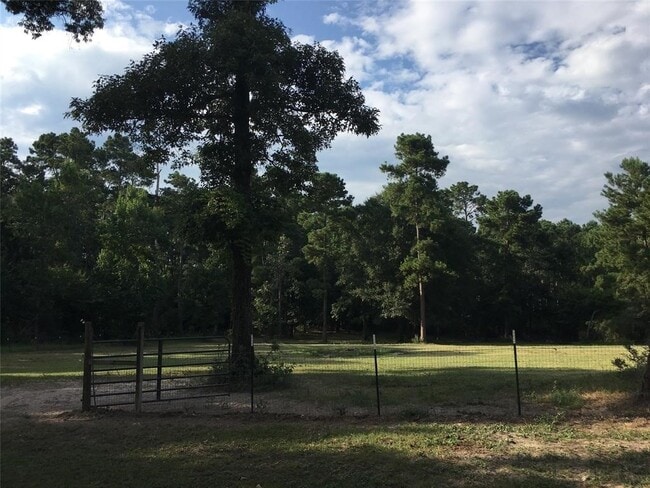 Photo - 20272 Forest Woods Ln