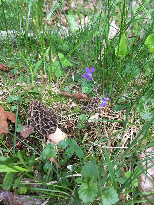 Photo - 56 London Rd Unit Sunny Westmoreland Oasis