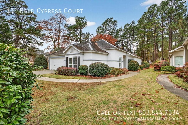 Photo - 131 Bald Cypress Ct