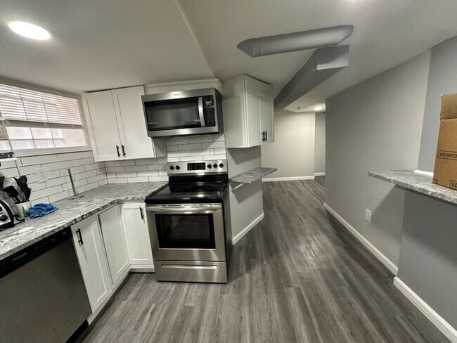Photo - Stoepel Basement Unit Basement
