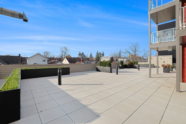 Photo - Mural Kingston