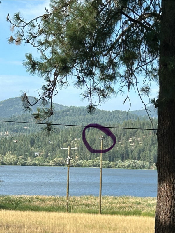 Photo - 11198 N 1st St