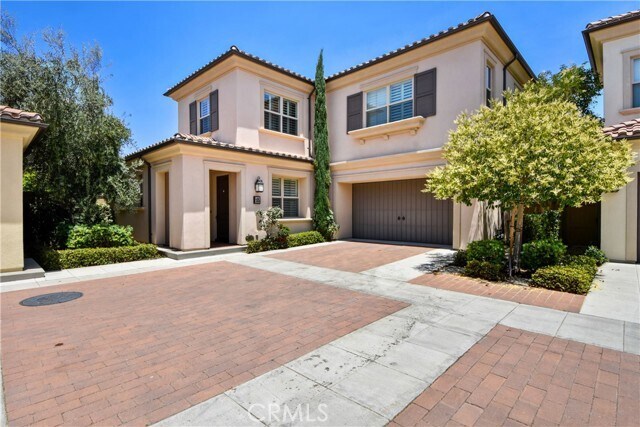 Photo - 105 Field Poppy