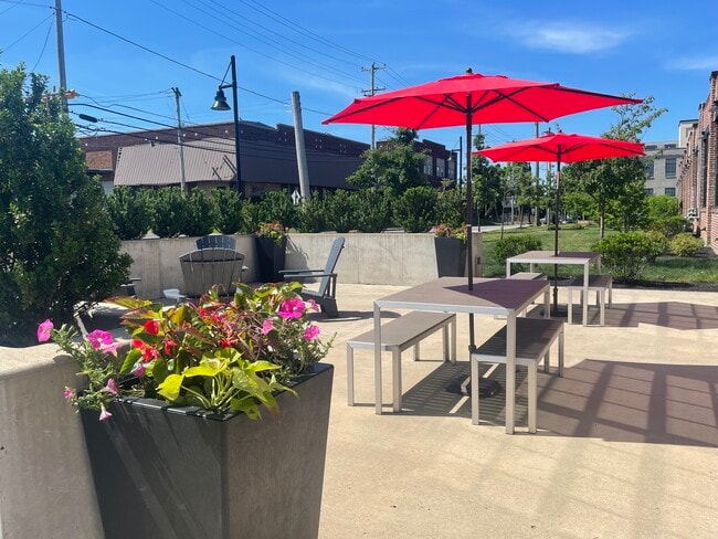 Photo - Jacksonville Green