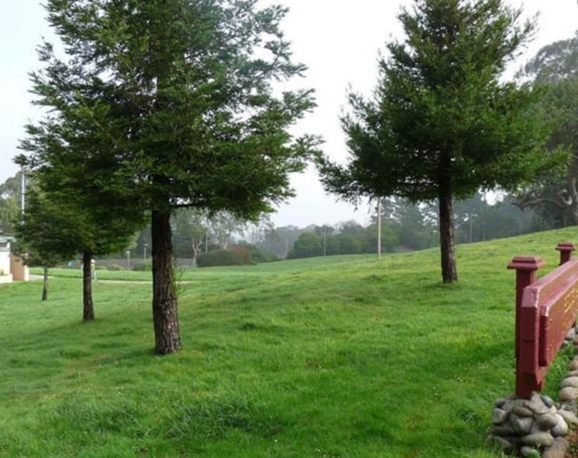 Photo - Westborough 2bd/1bth Condo + Loft for Rent - $2,800/mo