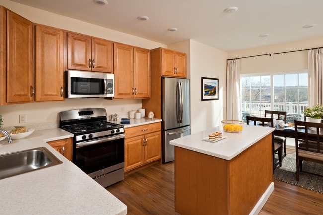 Photo - Dutch Village 4