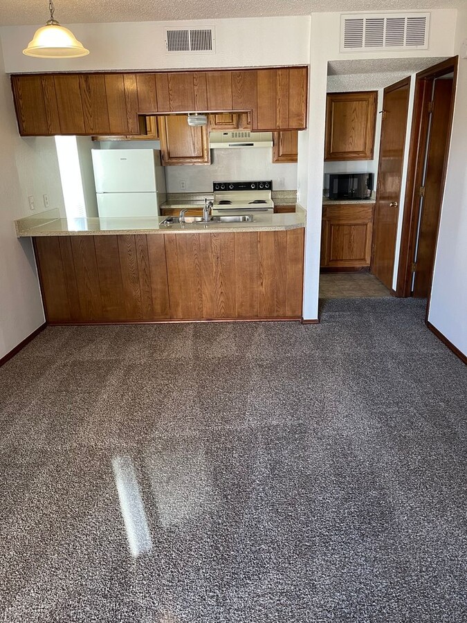 Falcon Ridge - Falcon Ridge Apartment Unit 3(downstairs)