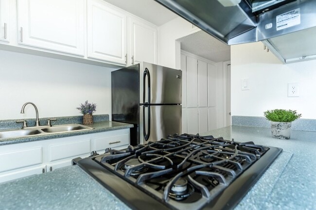 Photo - Twenty One 41