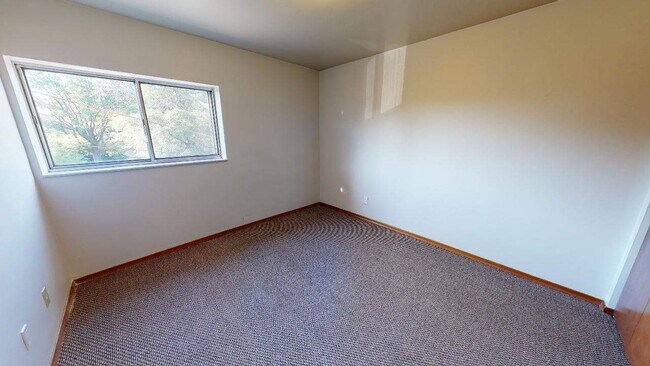 Photo - Carleton Tower