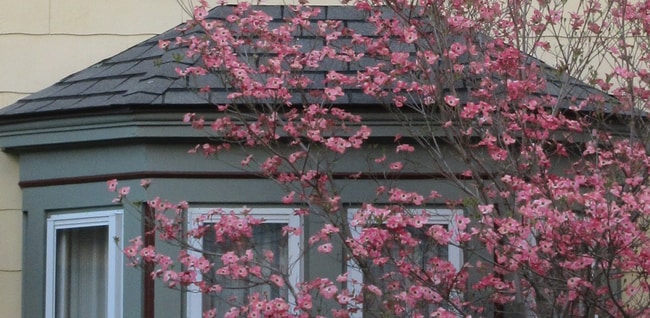 2 bedroom 1 bath sunny apartment - 67 Market St Apartment Unit 1B