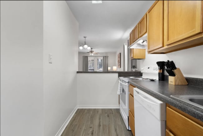 Photo - 269 Benachi Ave