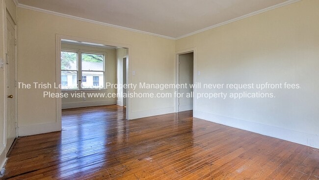 Photo - ** Large 1/1 ready now**