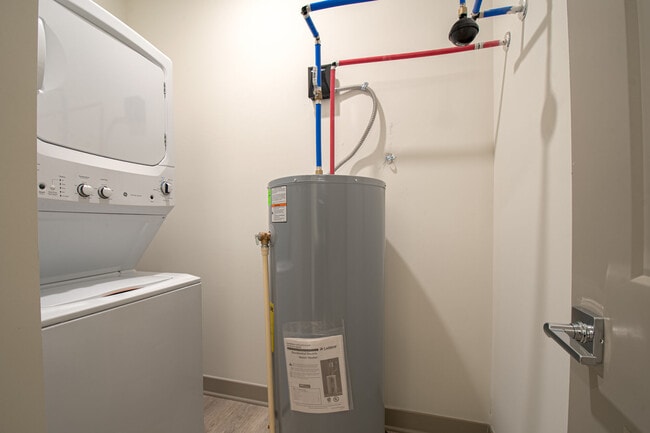 Photo - Legends Morgan Farms