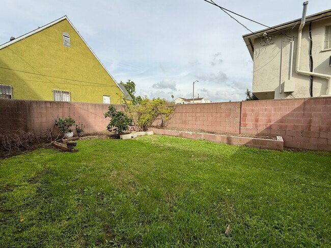 Shared back yard