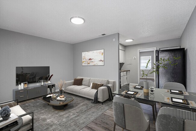 1 Bed 1 Bath - 600 Sqft Living Room