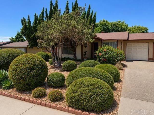 Building Photo - 1527 Temple Heights Dr
