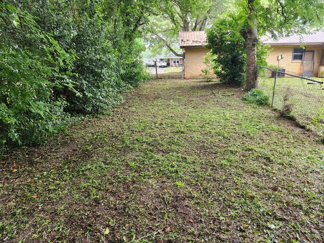 Backyard - 105 Valencia Cir