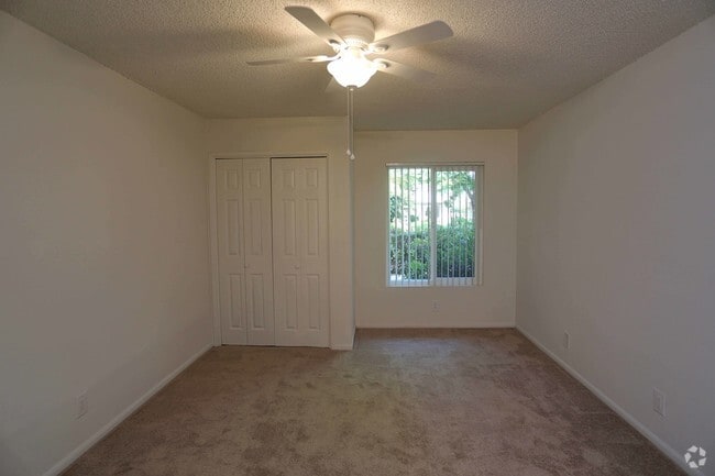 Photo - The Lamplighter