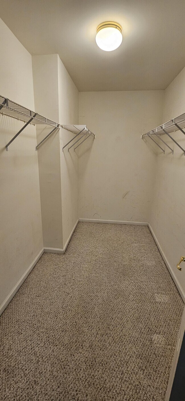 Photo - 260 Whitchurch St