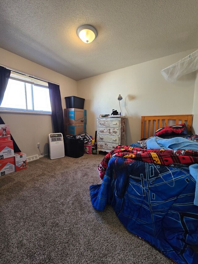 Photo - Great Home in Greeley