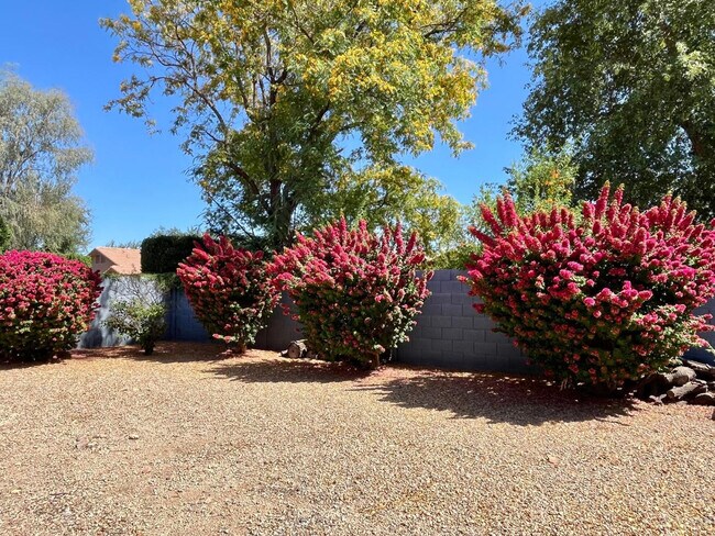 Photo - 8175 W Marco Polo Rd