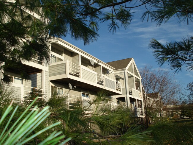 Building Photo - Available April 1st Unit 1617-105