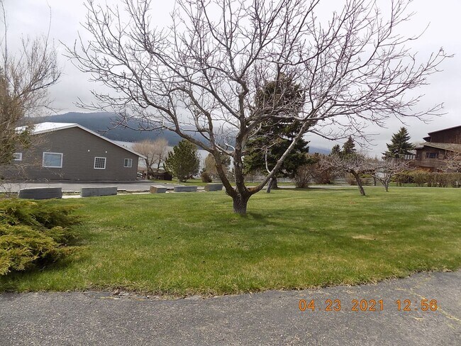 Photo - Lake Front Property with Orchard--Desire l...
