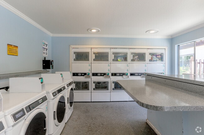 Laundry Room - Blossom Oaks Apartments