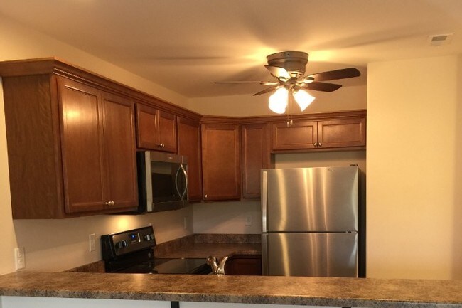 Kitchen and bar area - 1914 Wrigley St Unit 1912