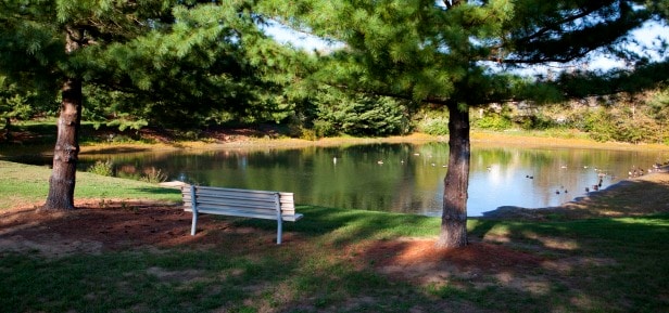 Photo - Scio Farms Estates