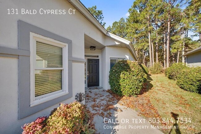 Photo - 131 Bald Cypress Ct