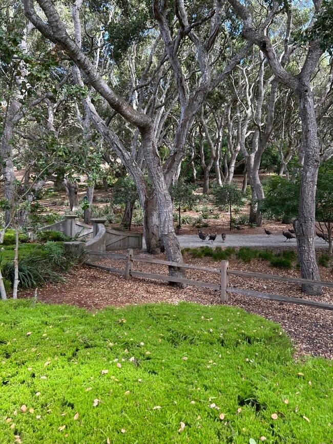 Photo - 5476 Quail Meadows Dr