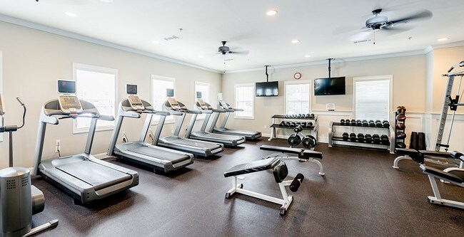 Photo - Student | Ikon Athens